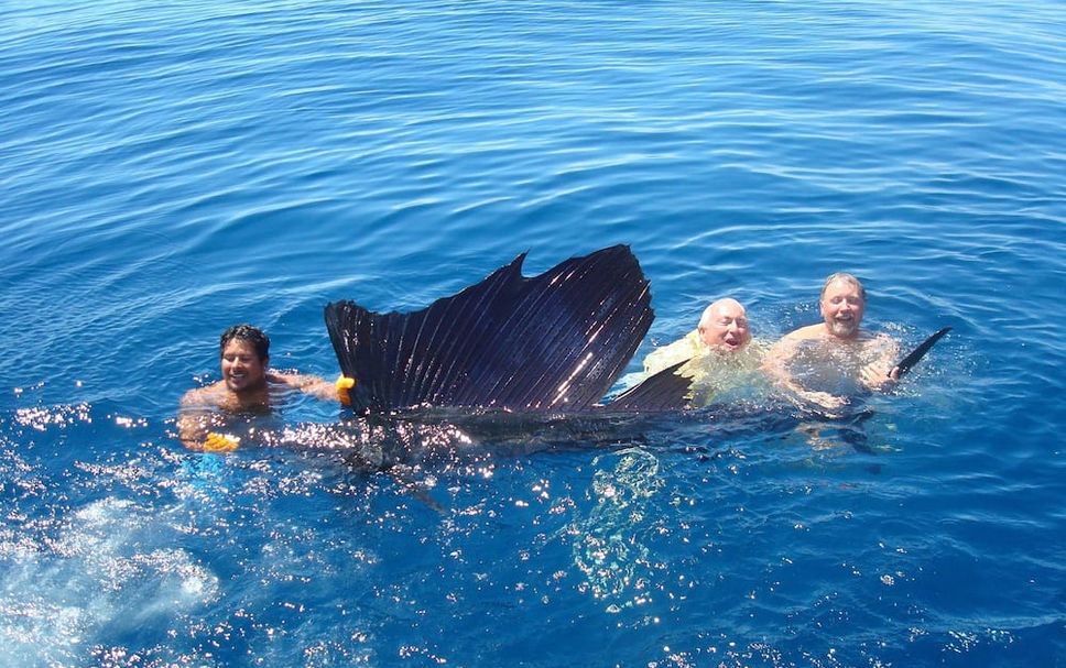 Altres Foto