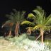 Altres