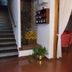 Escales