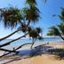 Platja