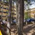 Altres