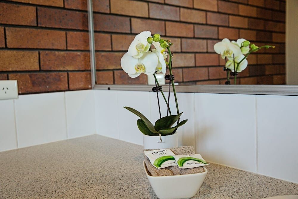 Serveis de l’habitació