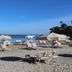 Platja