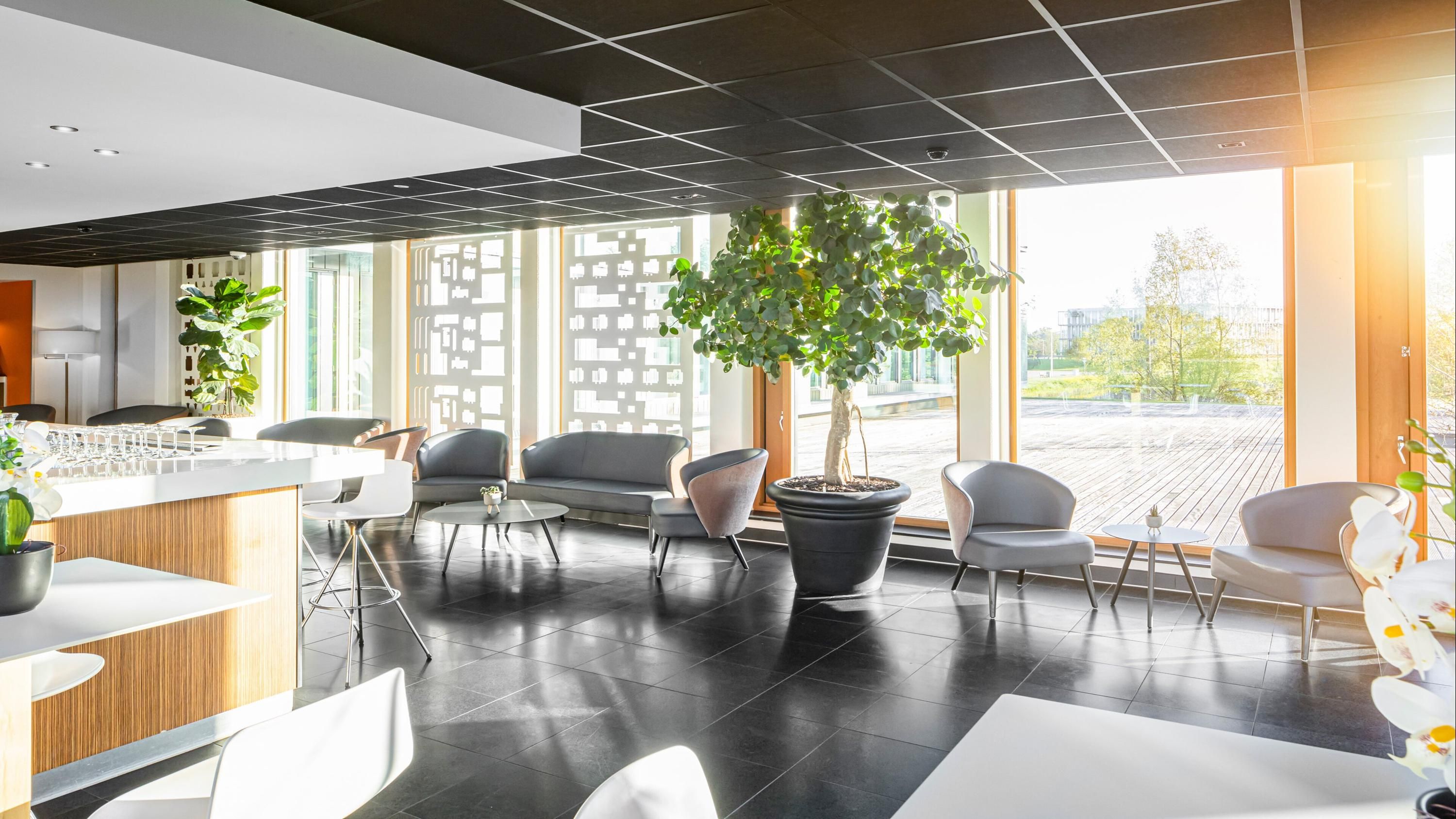 Sala d'estar Foto