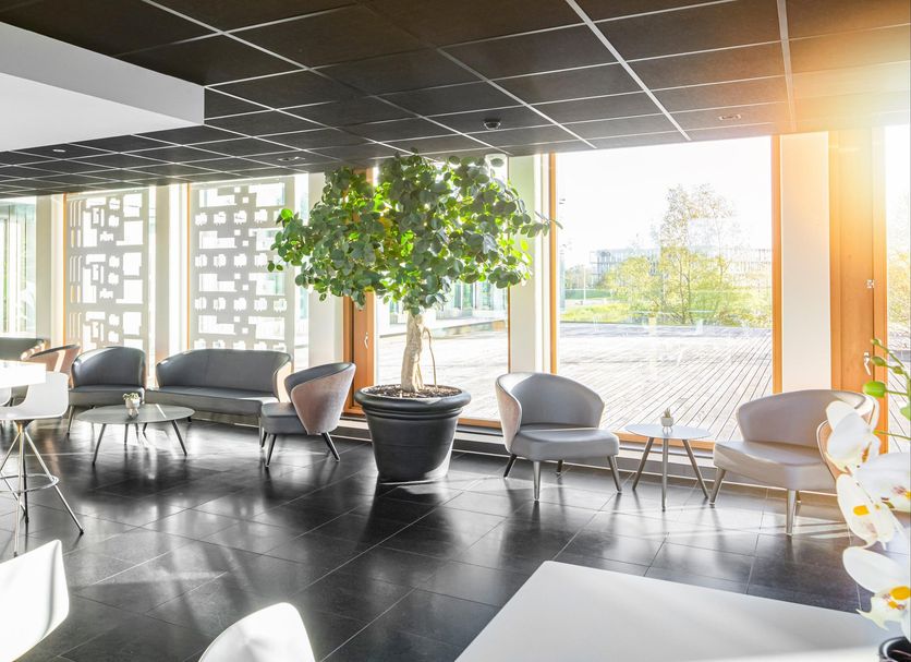 Sala d'estar Foto