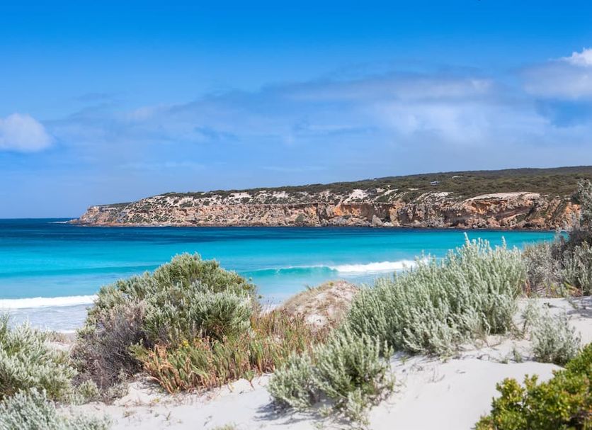 Platja Foto