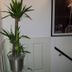 Serveis de l’habitació