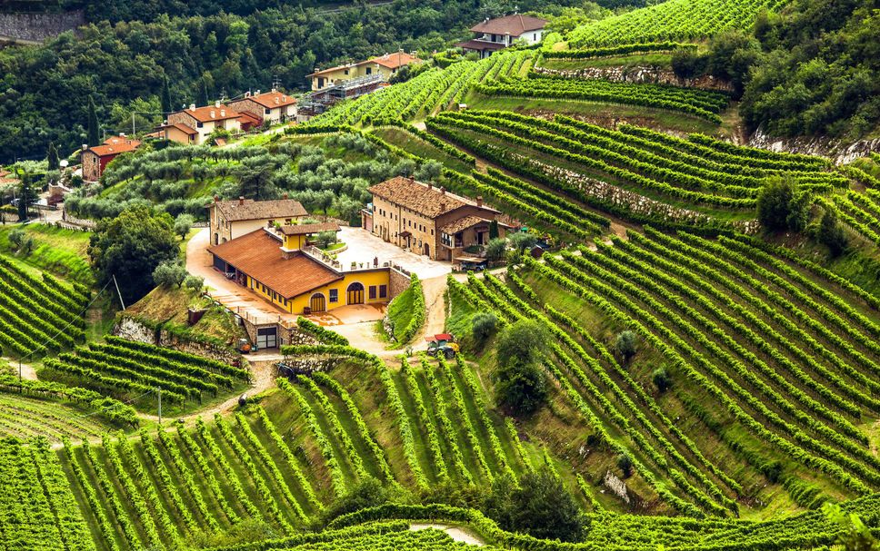 Edifici Foto