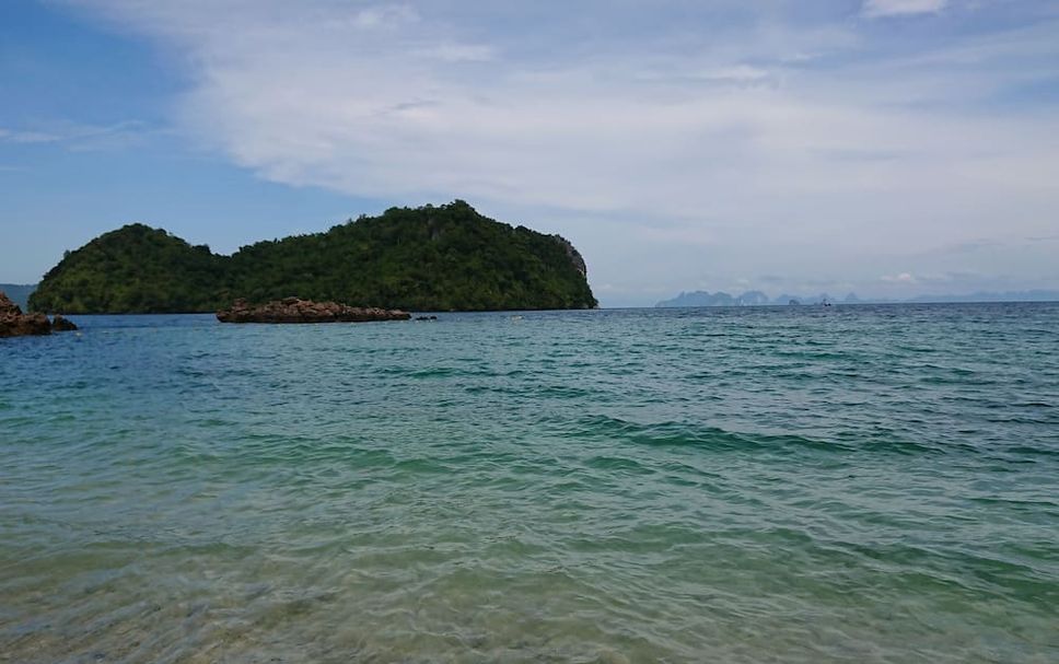 Altres Foto