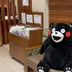 Recepció
