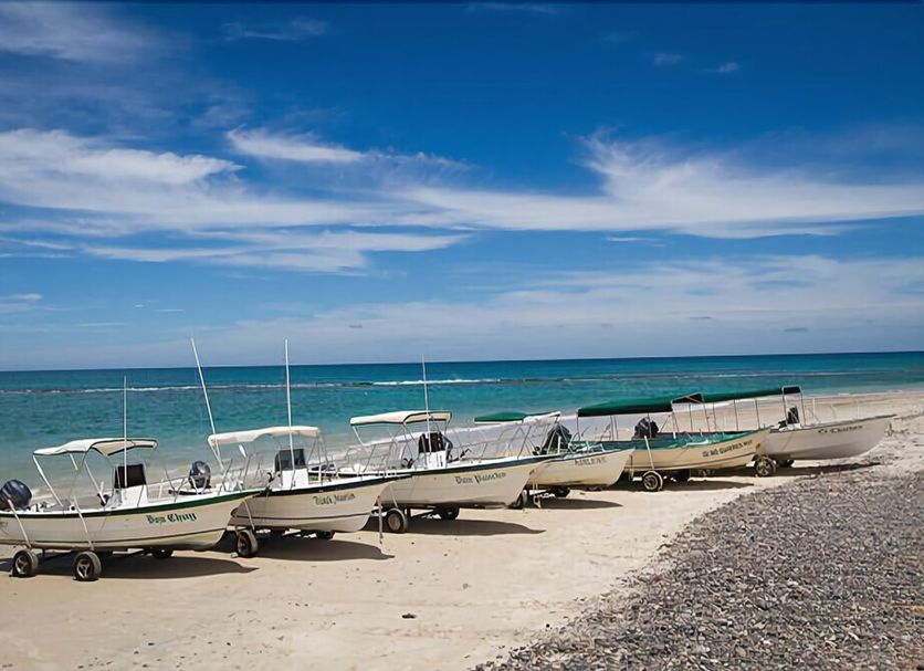 Platja Foto