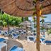 Altres