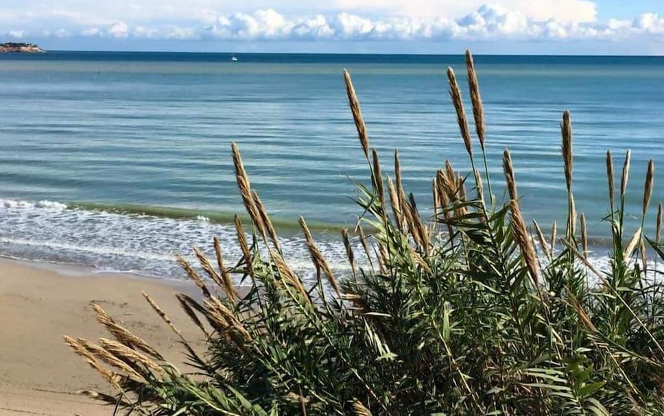 Platja Foto