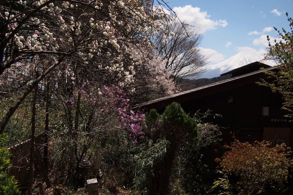 Vista exterior