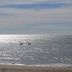 Platja