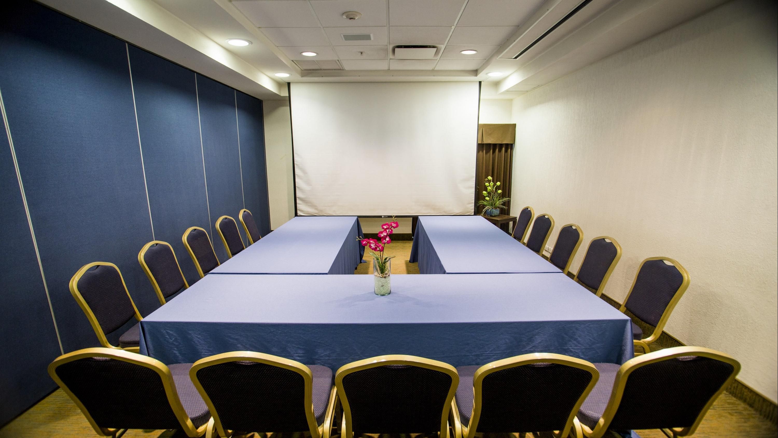 Sala de conferències Foto