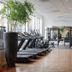 Gimnàs