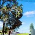 Vista exterior