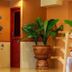 Serveis de l’habitació