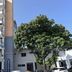 Edifici