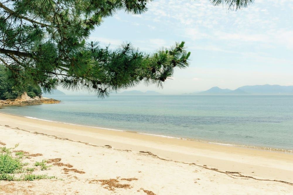 Platja Foto