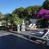 Pati