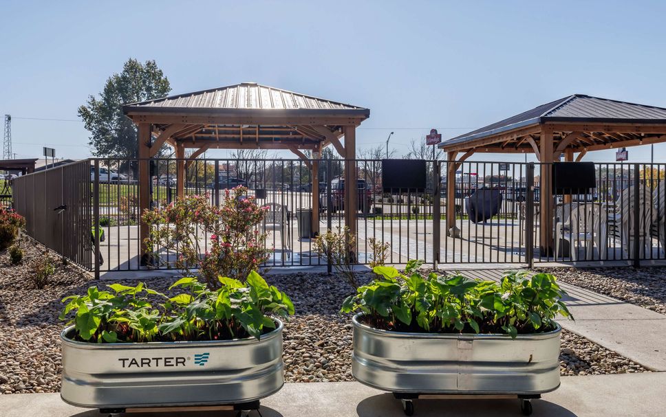 Servei de l'hotel Foto