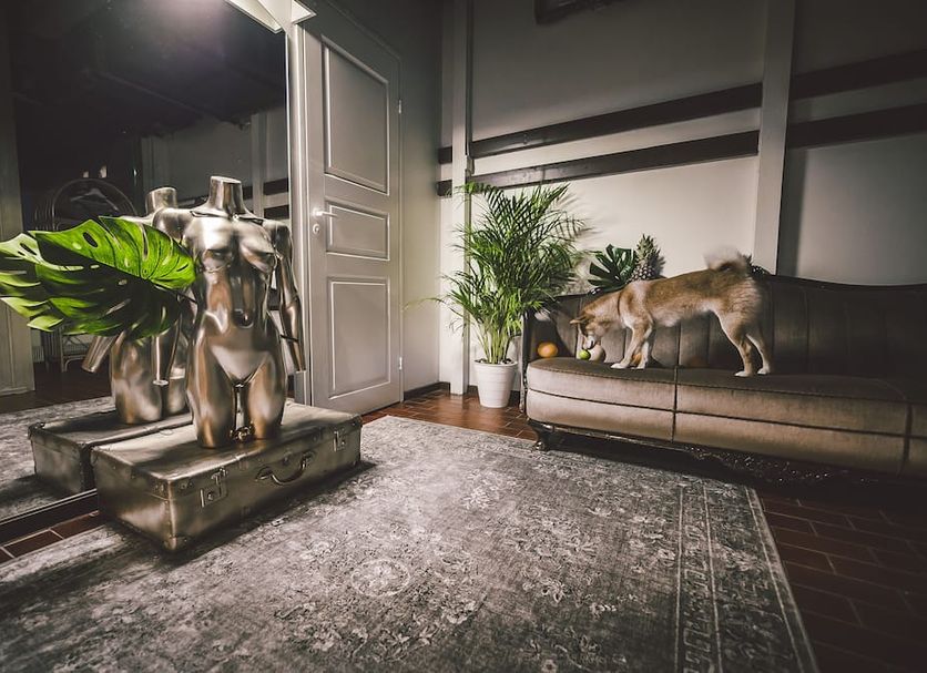 Sala Foto