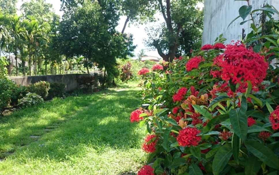 Vista exterior Foto