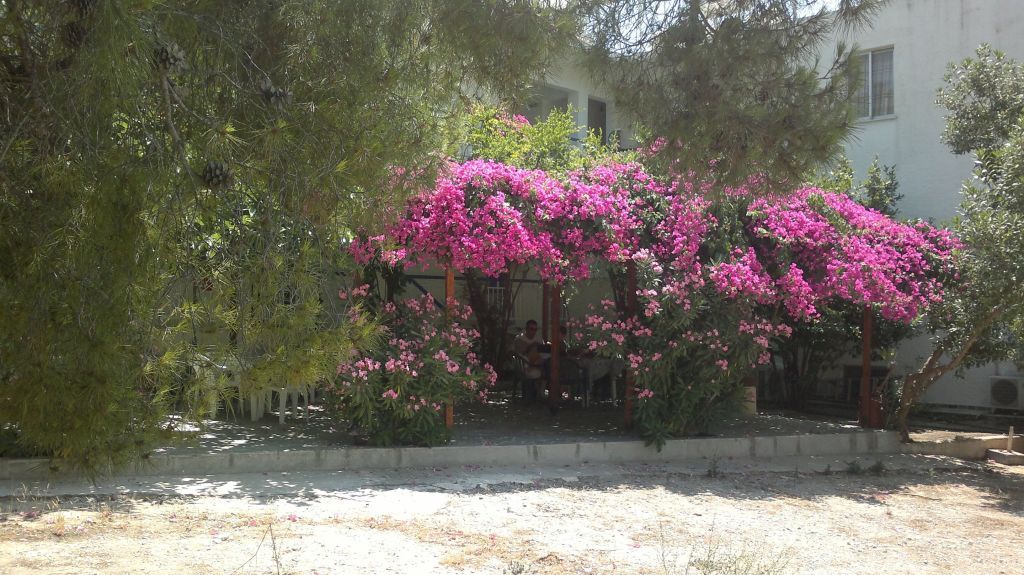 Vista exterior