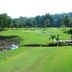 Camp de golf