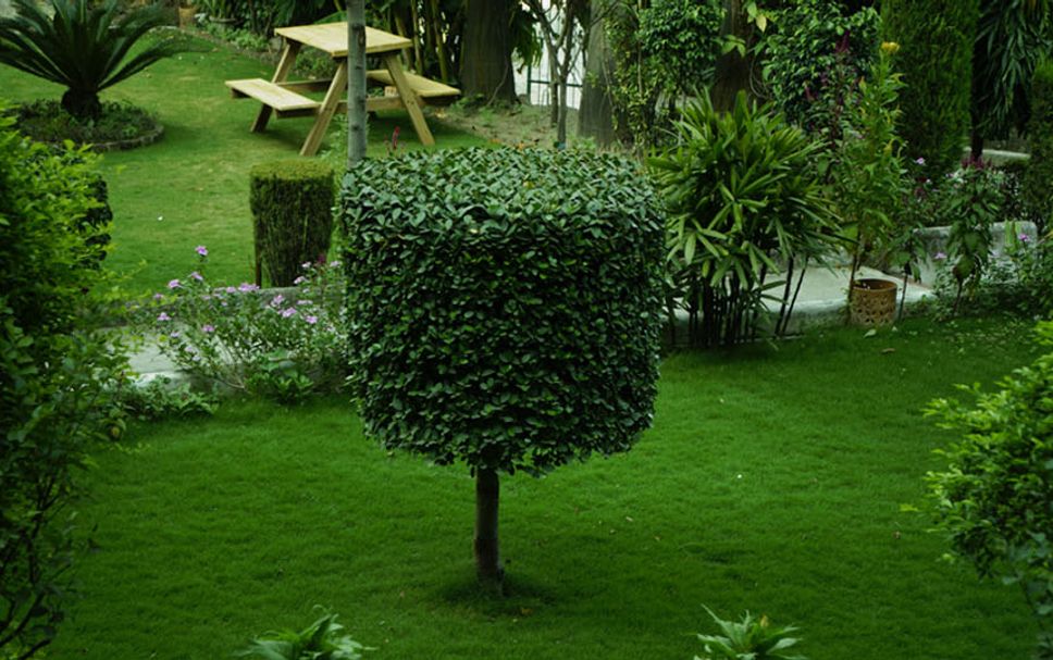 Vista exterior Foto