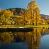 Camp de golf