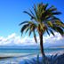 Platja