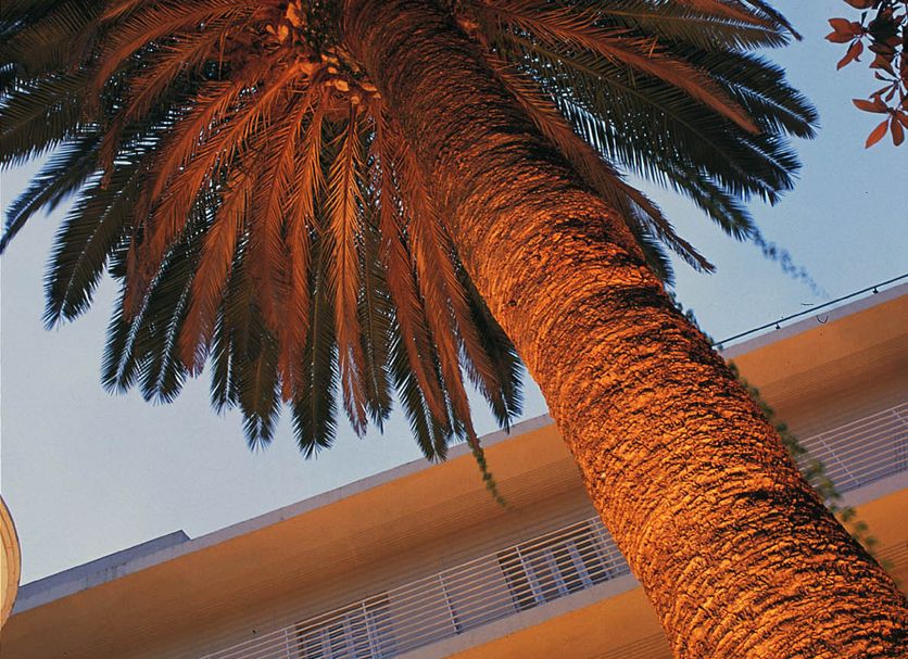 Vista exterior Foto